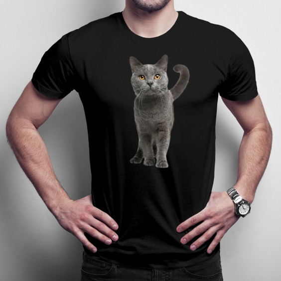 Britische Katze  - Herren t-shirt mit Aufdruck